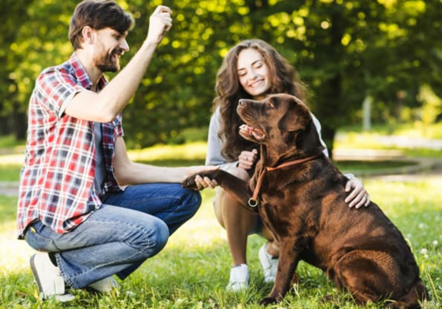 Transforme a convivência com seu cão! Soluções personalizadas para comportamentos indesejados. Junte-se a nós para uma jornada mais tranquila e prazerosa agora!